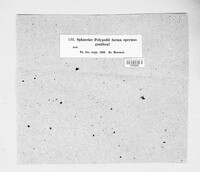 Image Associated With the Occurence